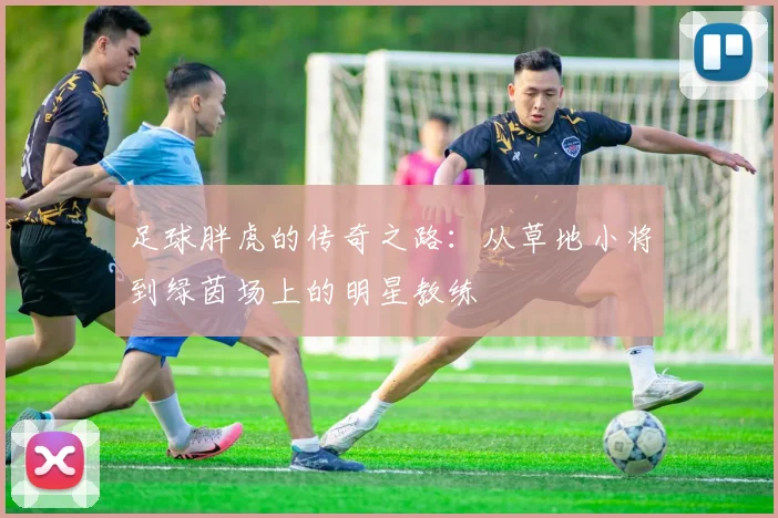 足球胖虎的传奇之路：从草地小将到绿茵场上的明星教练