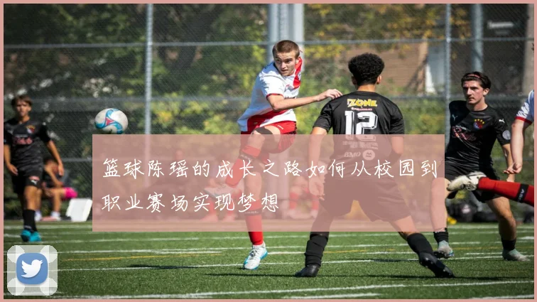 篮球陈瑶的成长之路如何从校园到职业赛场实现梦想