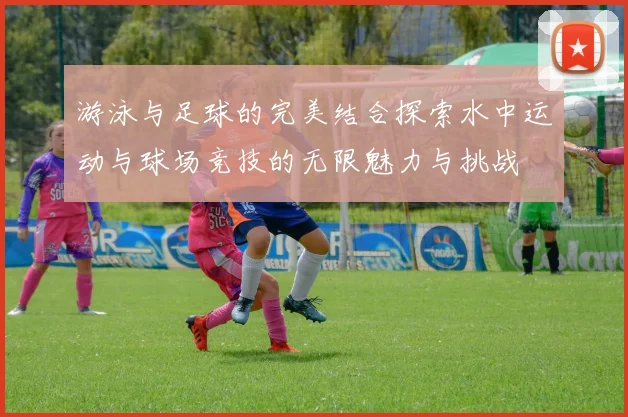 游泳与足球的完美结合探索水中运动与球场竞技的无限魅力与挑战