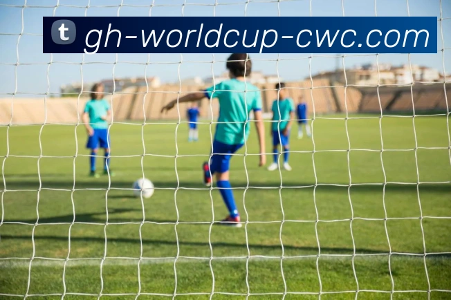 世界杯下注平台生态图